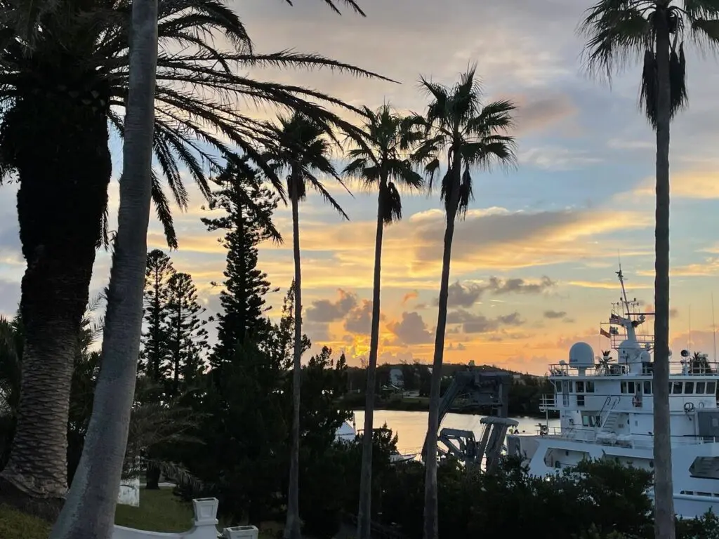 Sunset, palm trees, and research vessel.