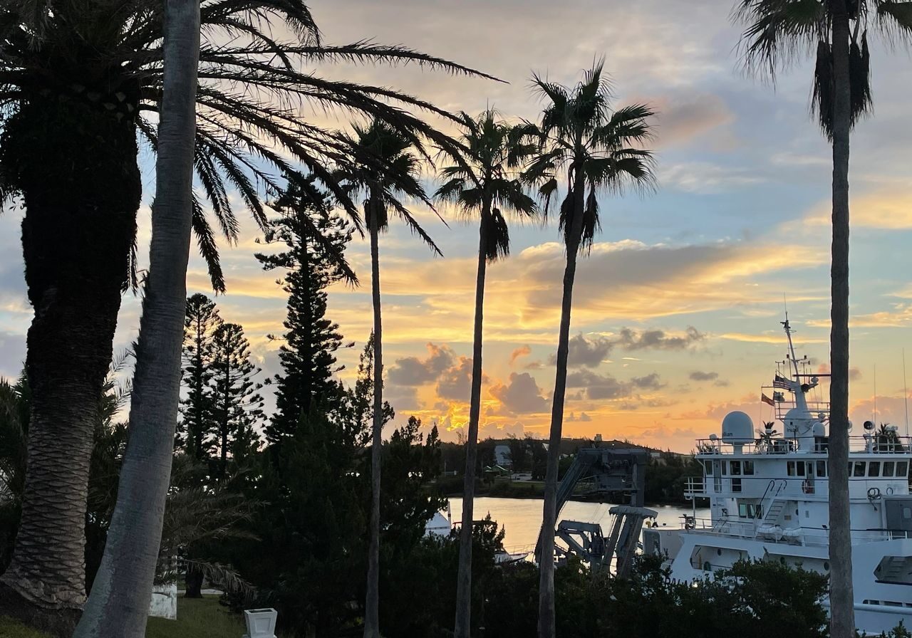 Sunset, palm trees, and research vessel.