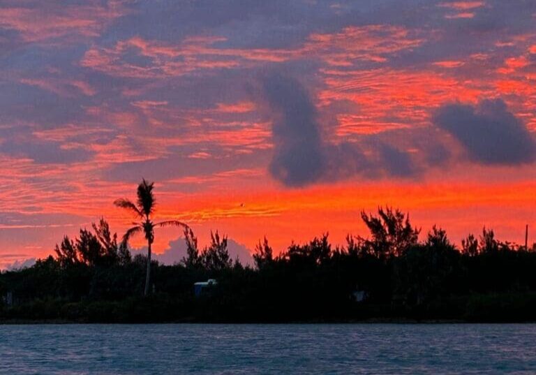 Fiery sunset over calm water.